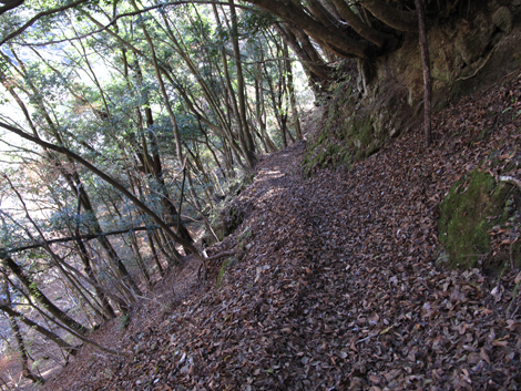 20161206hike (448)